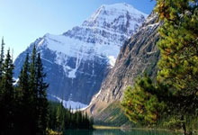 2018年世界杯巴西队为何未能夺冠？